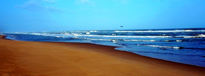 2384/The Chariot Resort & Spa - Puri 16.jpg